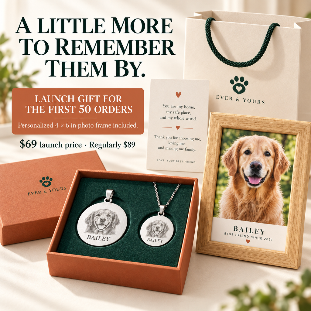 Personalized Matching Pet Tag & Owner Necklace Gift Set